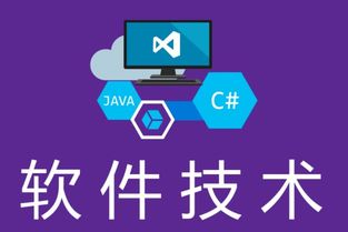 湖南中專軟件技術(shù)畢業(yè)生升學(xué)指南 聚焦軟件外包服務(wù)的對口單招學(xué)校